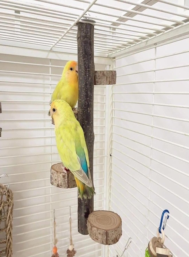 SS Organic® Natural Wood Bird Perch Stand, Hanging Multi Round Branch Perch for Cage, Parrots, Parakeets Cockatiels, Conures, Macaws, Love Birds, Finches Bird Toys - Image 3